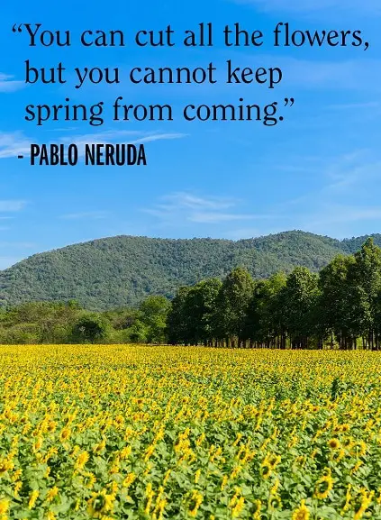 spring quotes and images