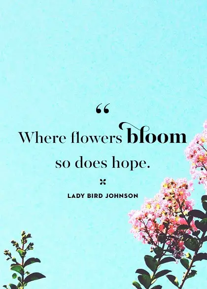 spring quotes inspirational