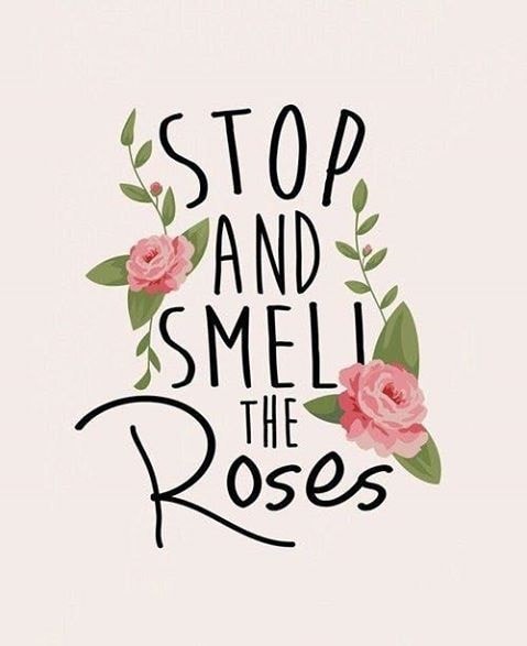 rose quotes about life