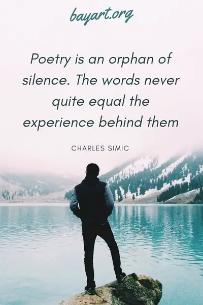 best quotes about poems
