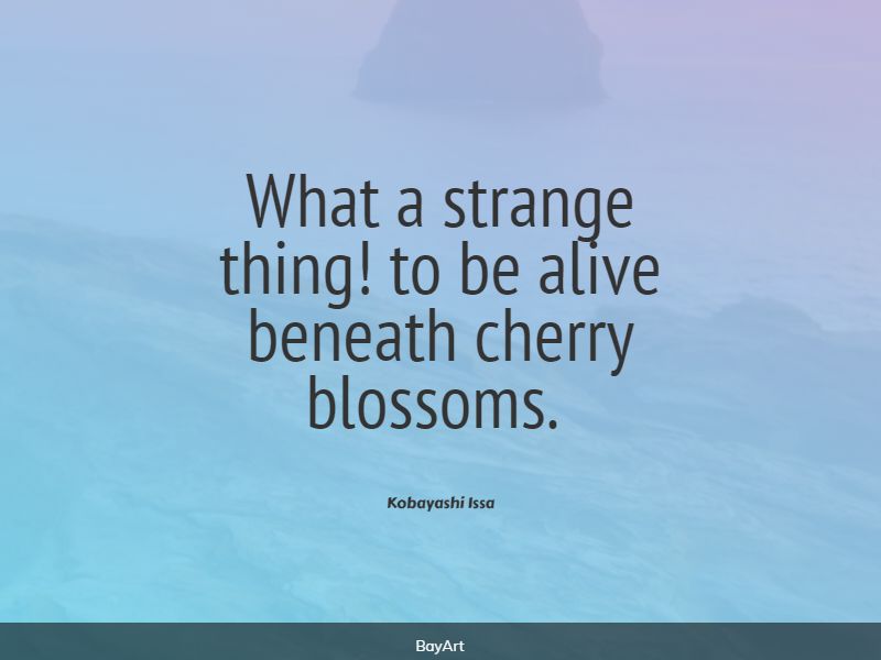 famous cherry blossom quotes