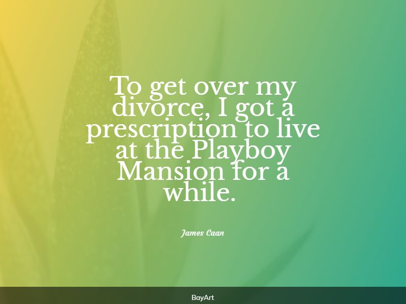 funniest divorce quotes