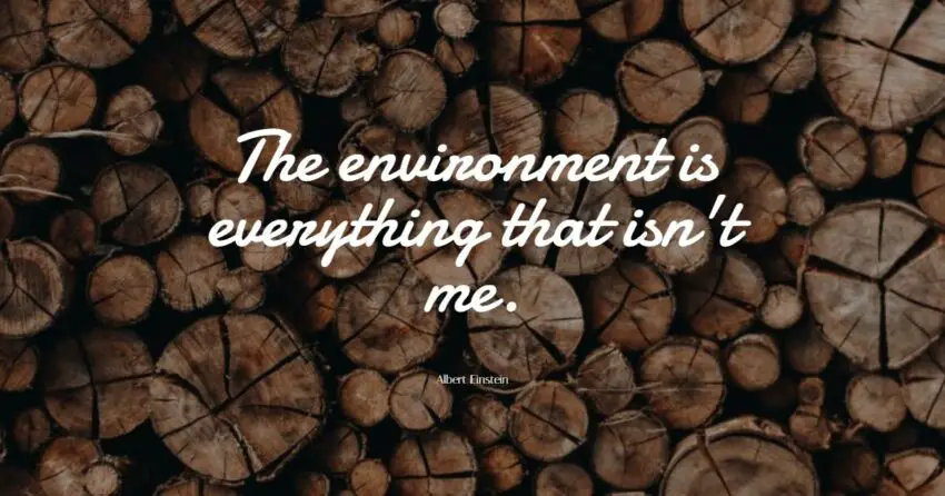 environment quotes
