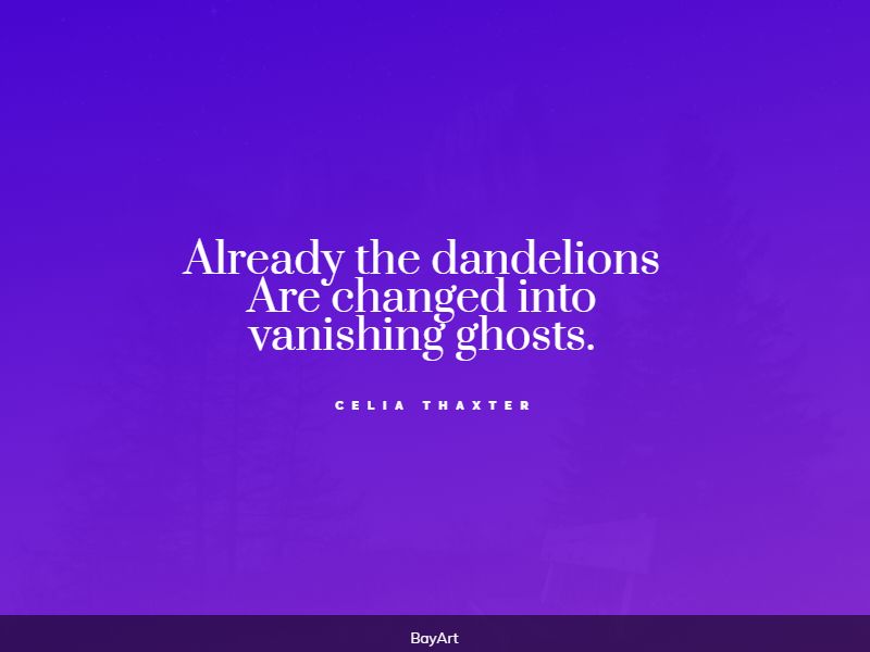 inspiring dandelion quotes