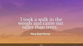 'Video thumbnail for 94+ Hiking Quotes'