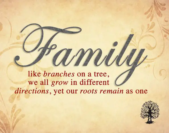 100+ Greatest Quotes About Family Of All Time - BayArt