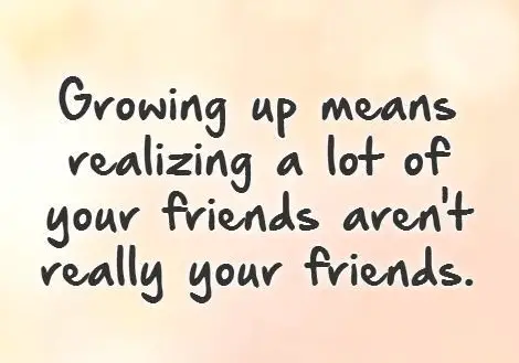 funny quotes about fake friends
