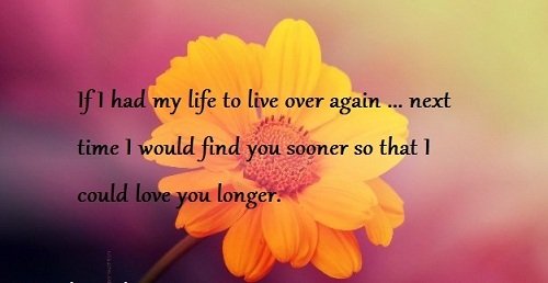 250+ Amazing Love Quotes for Husband: Complete Collection - BayArt