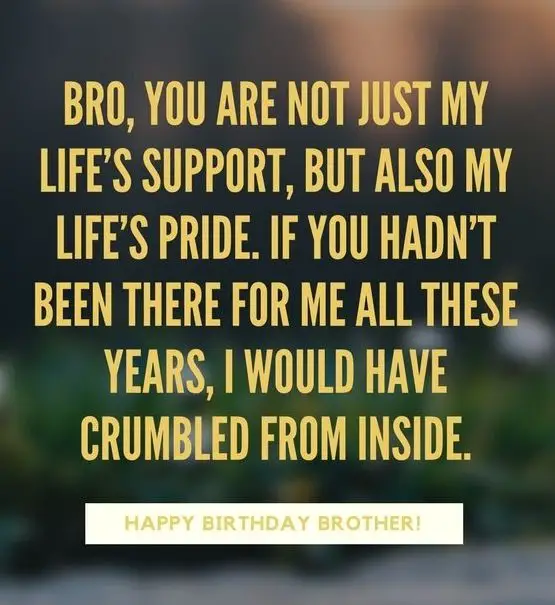 200 Mind Blowing Happy Birthday Brother Wishes Quotes Bayart