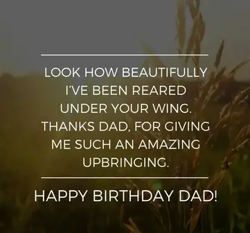 245 Wonderful Happy Birthday Dad Quotes Wishes Bayart