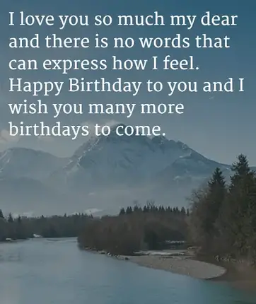 0 Unique Heartwarming Happy Birthday Wife Wishes Quotes Bayart