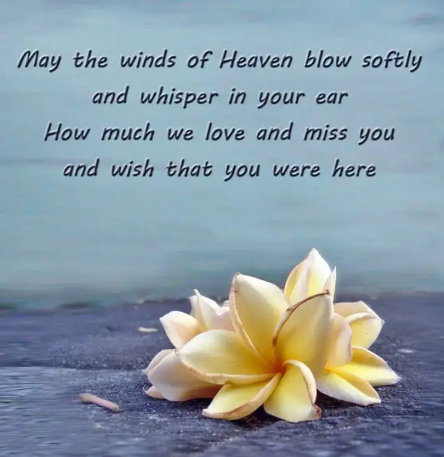 Happy Birthday In Heaven Sayings