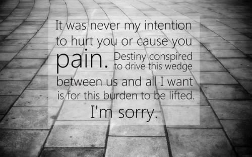 I Am So Sorry I Hurt You Quotes Quotes Words