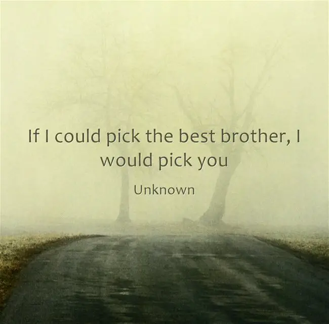 274 Memorable Brother Quotes to Show Your Appreciation 