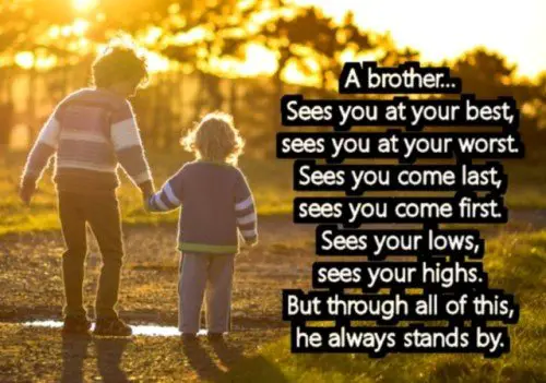 274 Memorable Brother Quotes To Show Your Appreciation Bayart