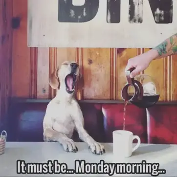 Happy Monday Gifs 58 Funny Animated Images For Free