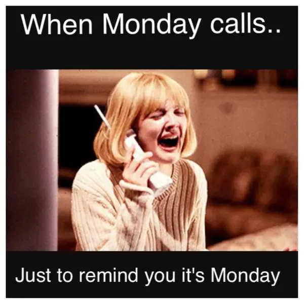 67+ Monday Memes: Be Ready To Fall About Laughing - BayArt