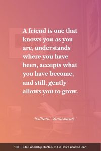 185+ Cute Friendship Quotes To Fill Best Friend's Heart - BayArt