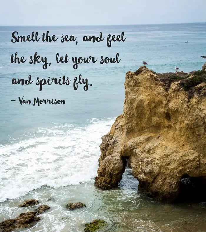 205+ Remarkable Beach Quotes & Captions That Inspire You - BayArt