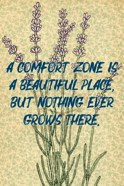 best comfort zone quotes