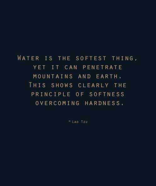 Strength In Softness Inspirational Quotes Words Inspirational