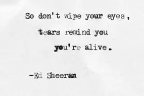 109 Exclusive Ed Sheeran Quotes Lyrics For Happier Life Bayart