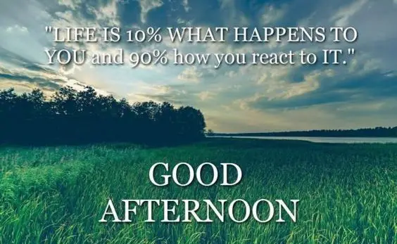 Image result for good afternoon quotes