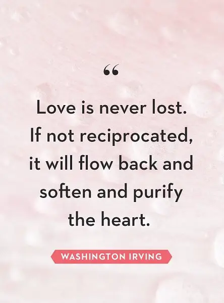 love lost quotes and sayings