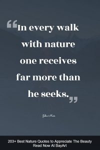 248+ Best Nature Quotes to Appreciate The Beauty - BayArt