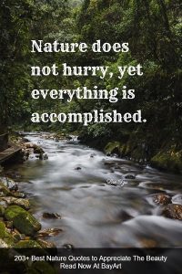 248+ Best Nature Quotes to Appreciate The Beauty - BayArt