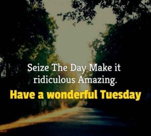 177+ EXCLUSIVE Tuesday Quotes For Beautiful, Happy & Funny Day - BayArt