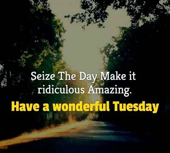 173+ EXCLUSIVE Tuesday Quotes For Beautiful, Happy & Funny ...