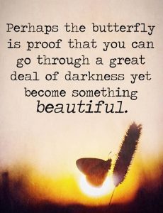 196+ EXCLUSIVE Butterfly Quotes For Beautiful Change - BayArt