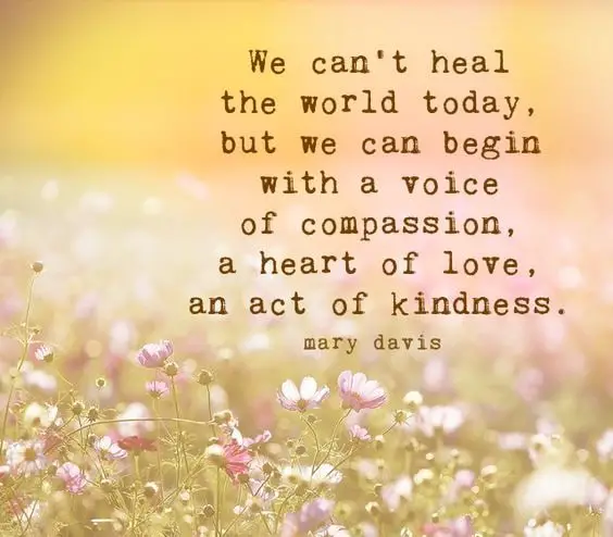 151 Glorious Compassion Quotes You Need To Remember Bayart