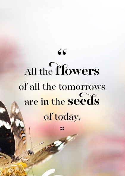 105+ EXCLUSIVE Spring Quotes to Brighten Your Day - BayArt