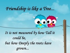 268+ Heartwarming Friendship Messages & Sweet Best Friend Text - BayArt