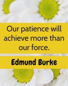 149+ EXCLUSIVE Patience Quotes To Make You Mentally Stronger - BayArt