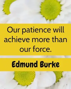 patience is a virtue quotes