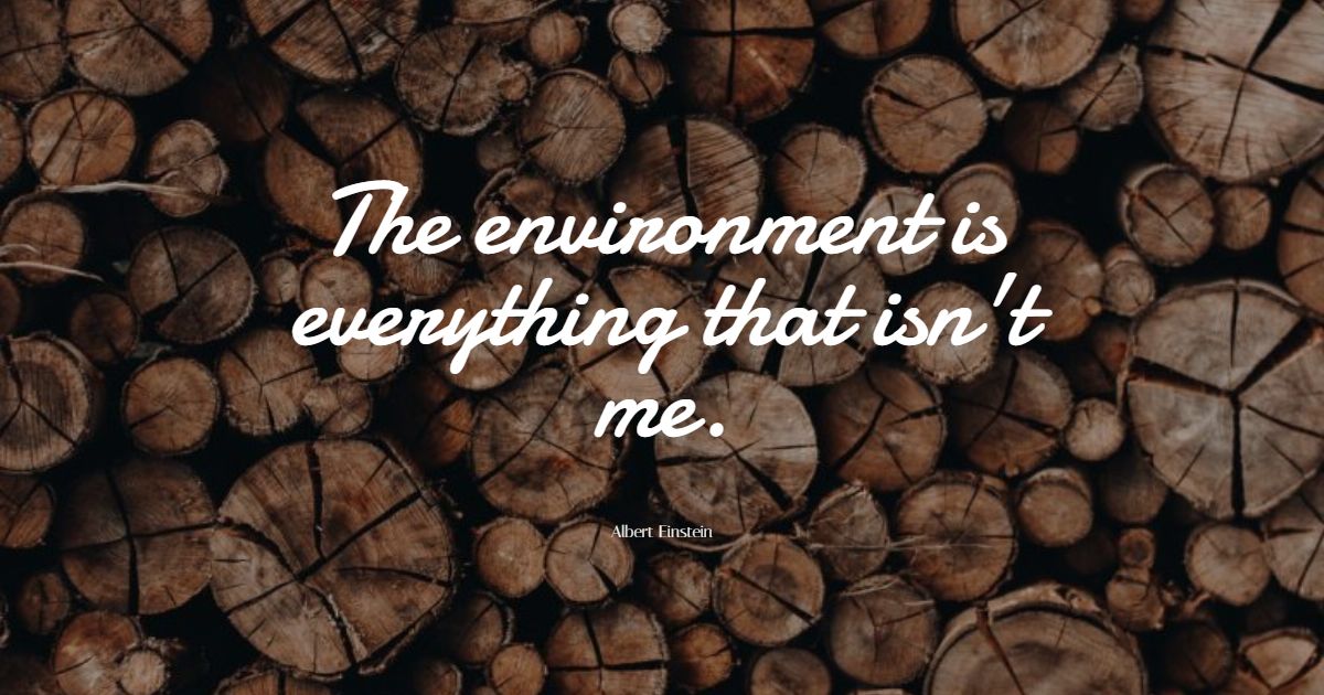 76+ Best Environment Quotes: Exclusive Selection - BayArt