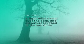 152+ Best Wind Quotes: Exclusive Selection - BayArt