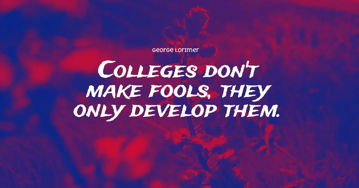 47+ Best College Friends Quotes: Exclusive Selection - BayArt