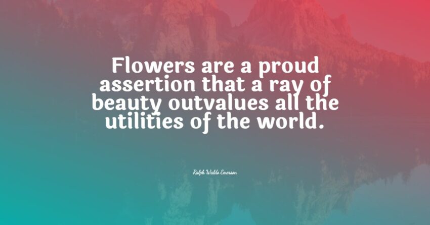 flower quotes