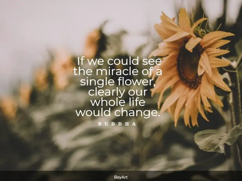 89+ Best Flower Quotes to See Unique Magic - BayArt