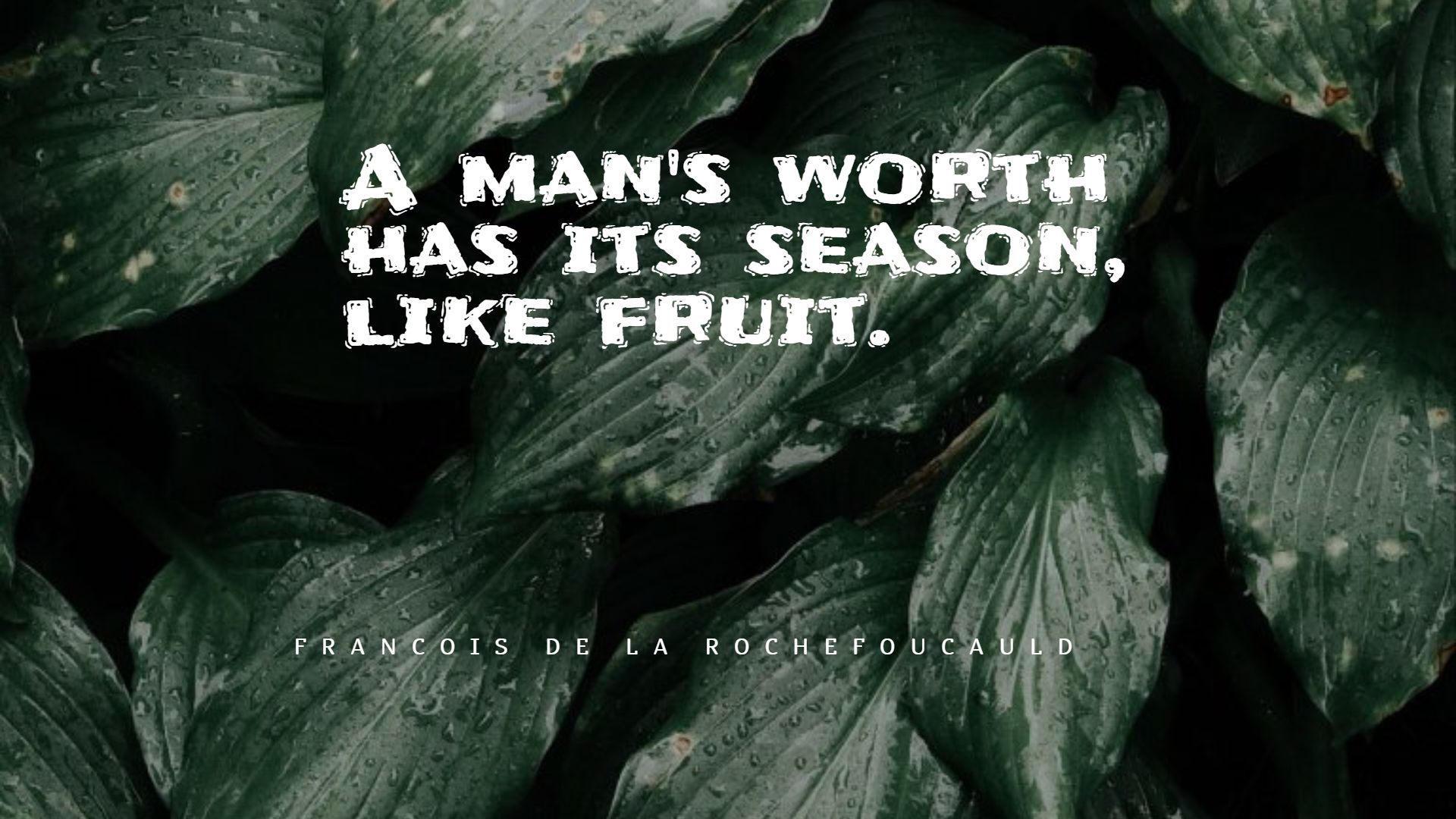 100+ Best Fruit Quotes: Exclusive Selection - BayArt