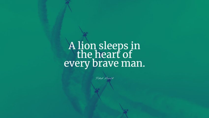 lion quotes