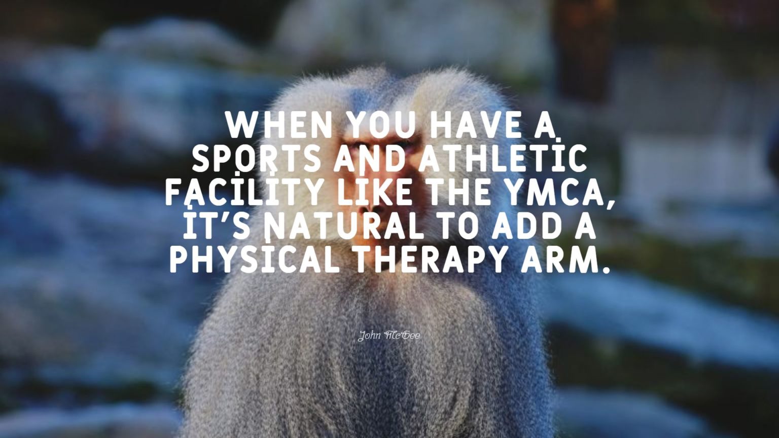 40 Best Physical Therapy Quotes Exclusive Selection Bayart 9448