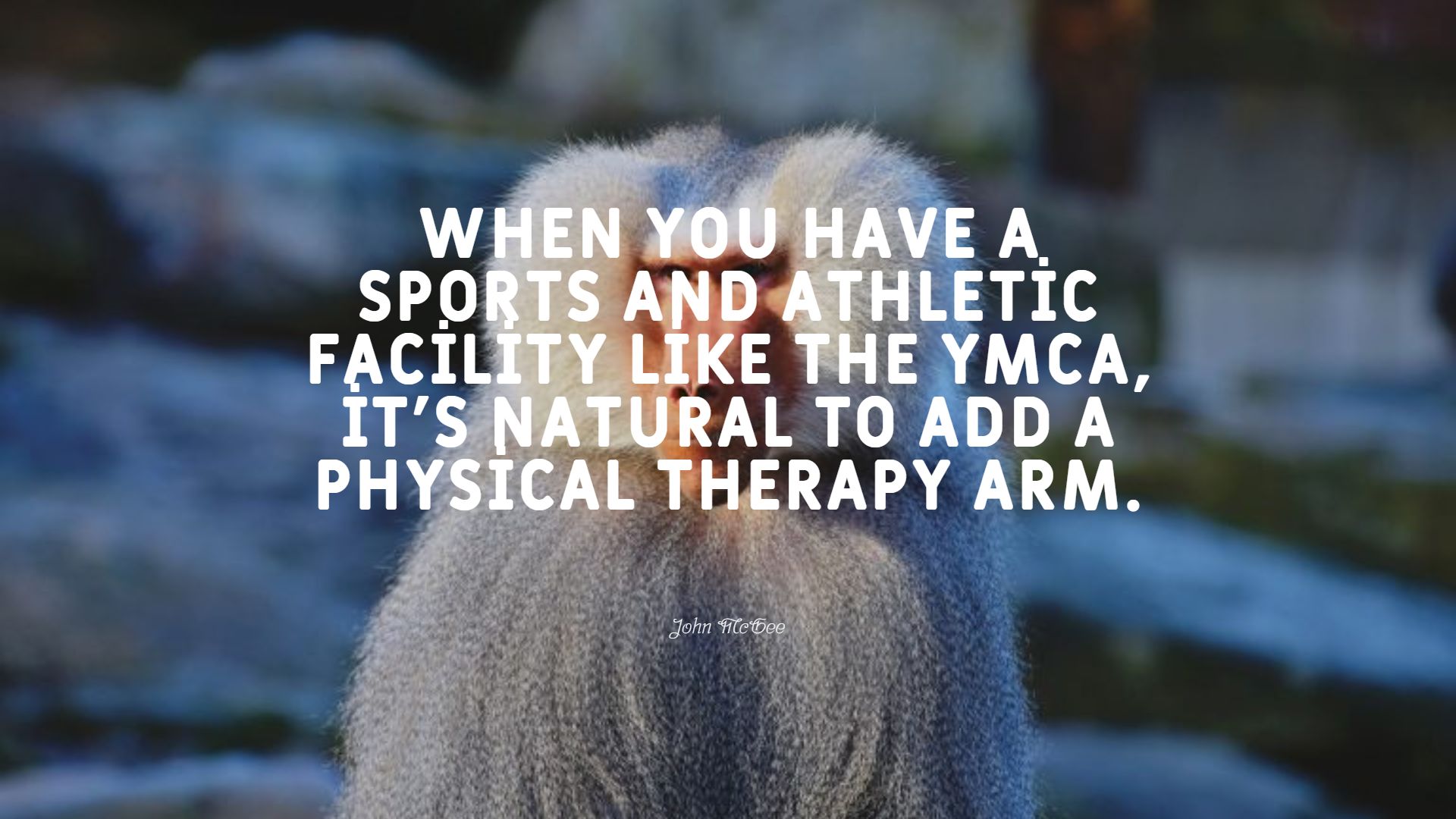 40-best-physical-therapy-quotes-exclusive-selection-bayart