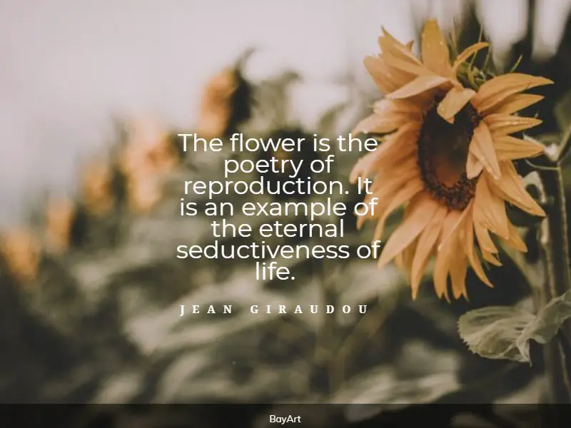 popular flower quotes