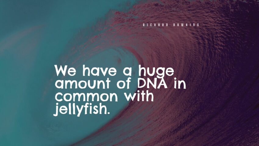 jellyfish quotes
