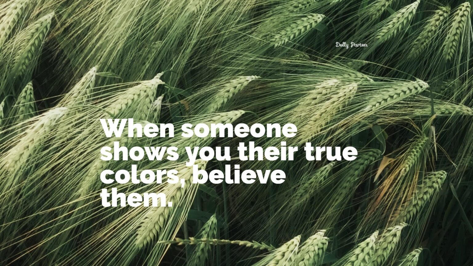 true colors quote